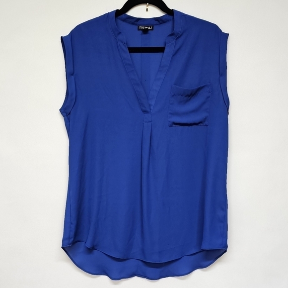Roz & Ali cobalt sleeveless sheer blouse - Picture 1 of 9